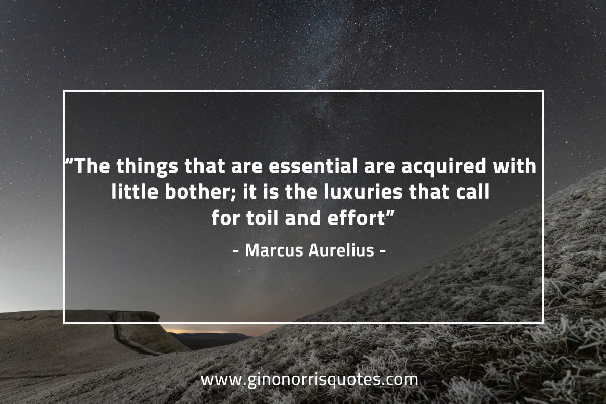 The things that are essential MarcusAureliusQuotes
