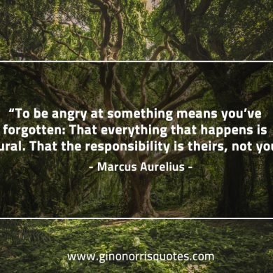 To be angry at something MarcusAureliusQuotes