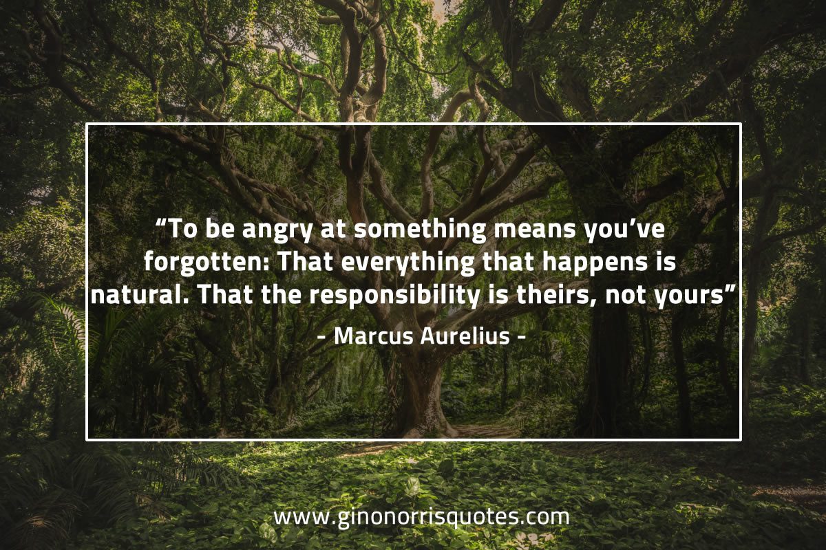 To be angry at something MarcusAureliusQuotes
