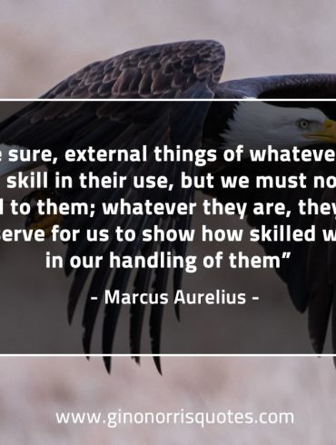 To be sure external things of whatever kind MarcusAureliusQuotes