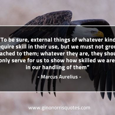 To be sure external things of whatever kind MarcusAureliusQuotes