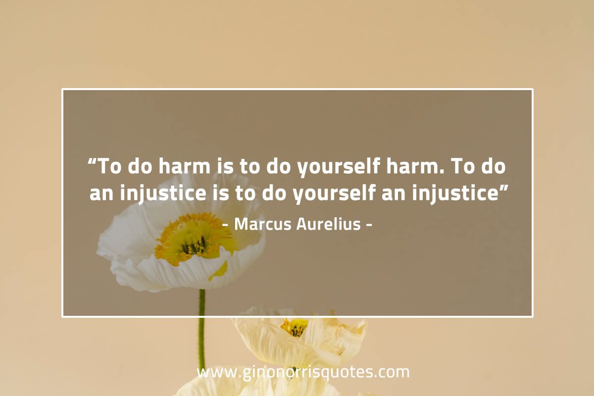 To do harm is to do yourself harm MarcusAureliusQuotes