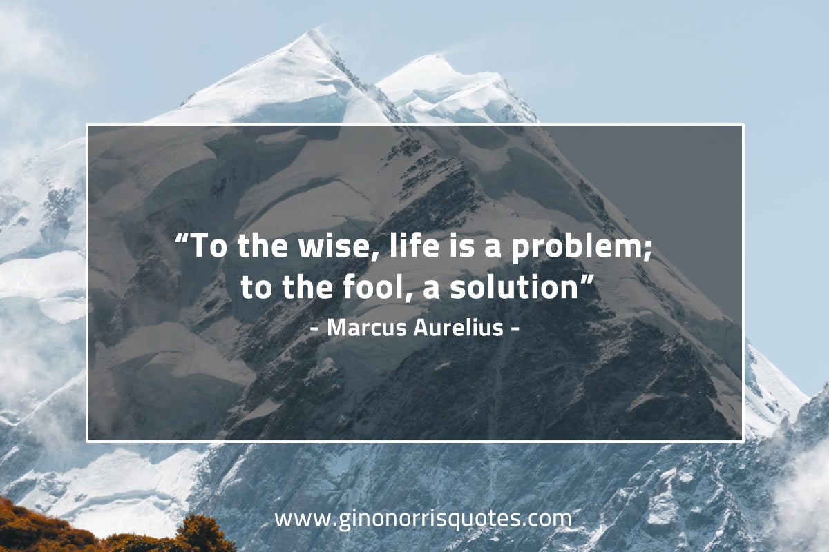 To the wise life is a problem MarcusAureliusQuotes