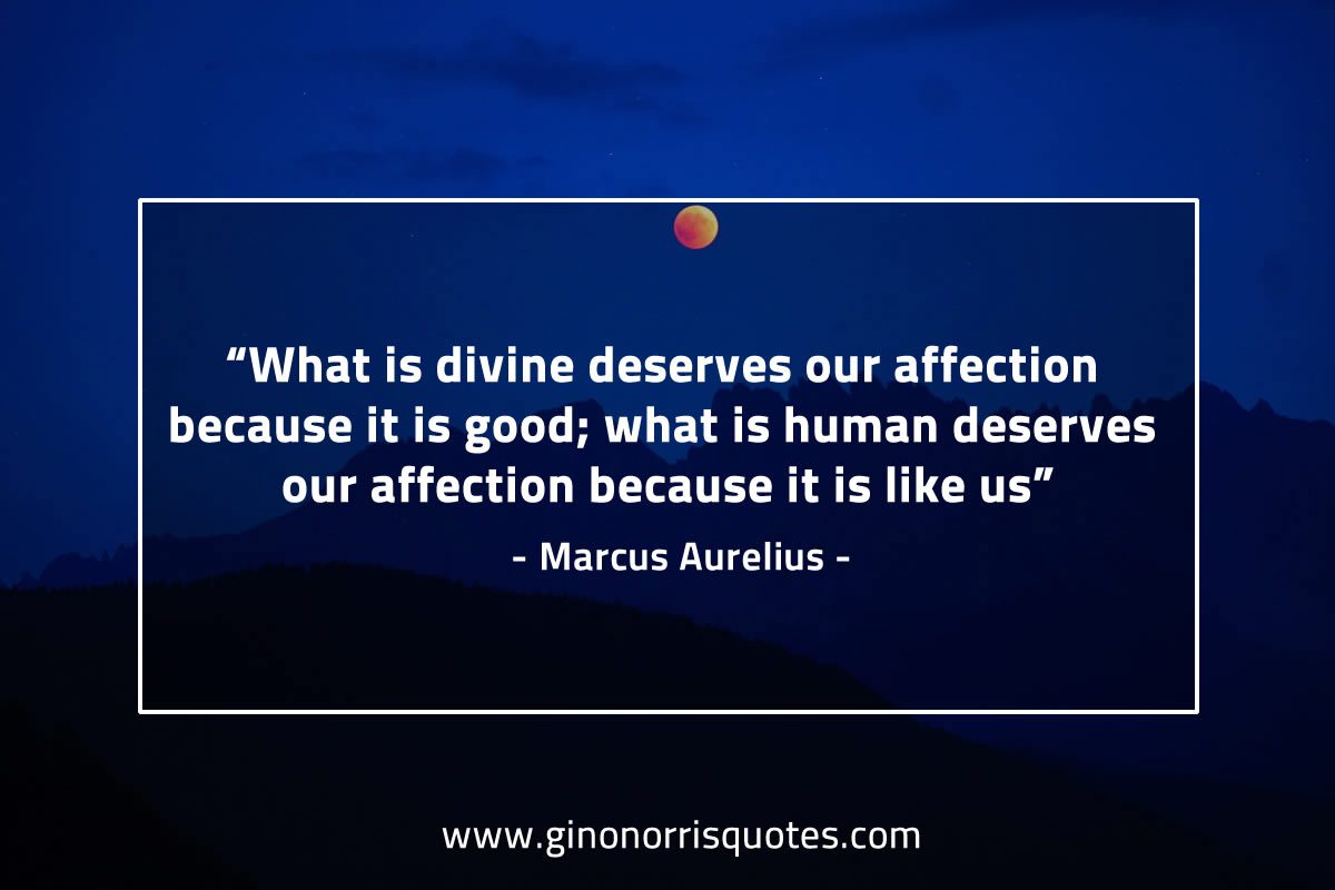 What is divine deserves our affection MarcusAureliusQuotes