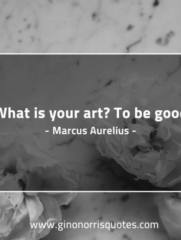 What is your art MarcusAureliusQuotes
