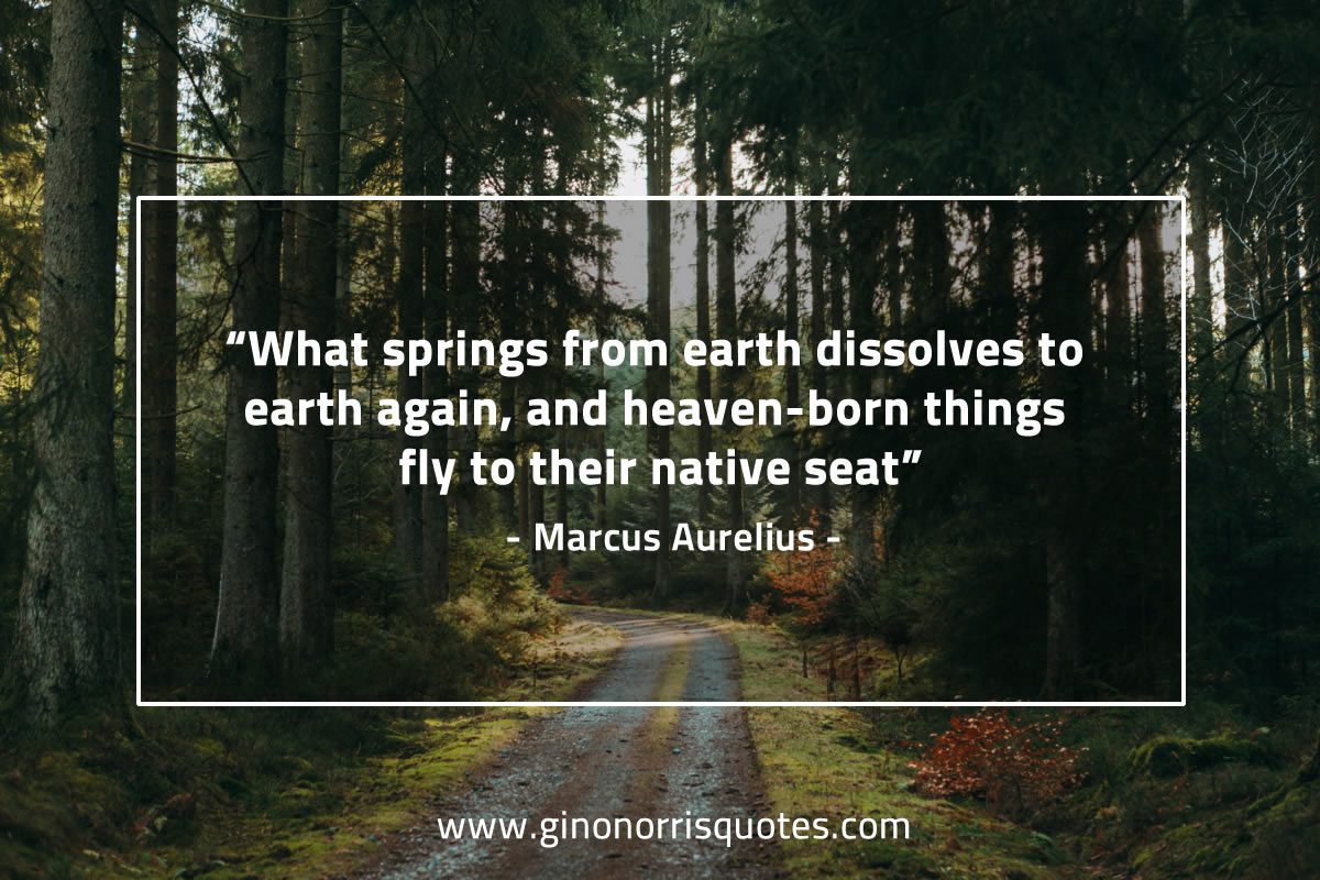 What springs from earth dissolves MarcusAureliusQuotes