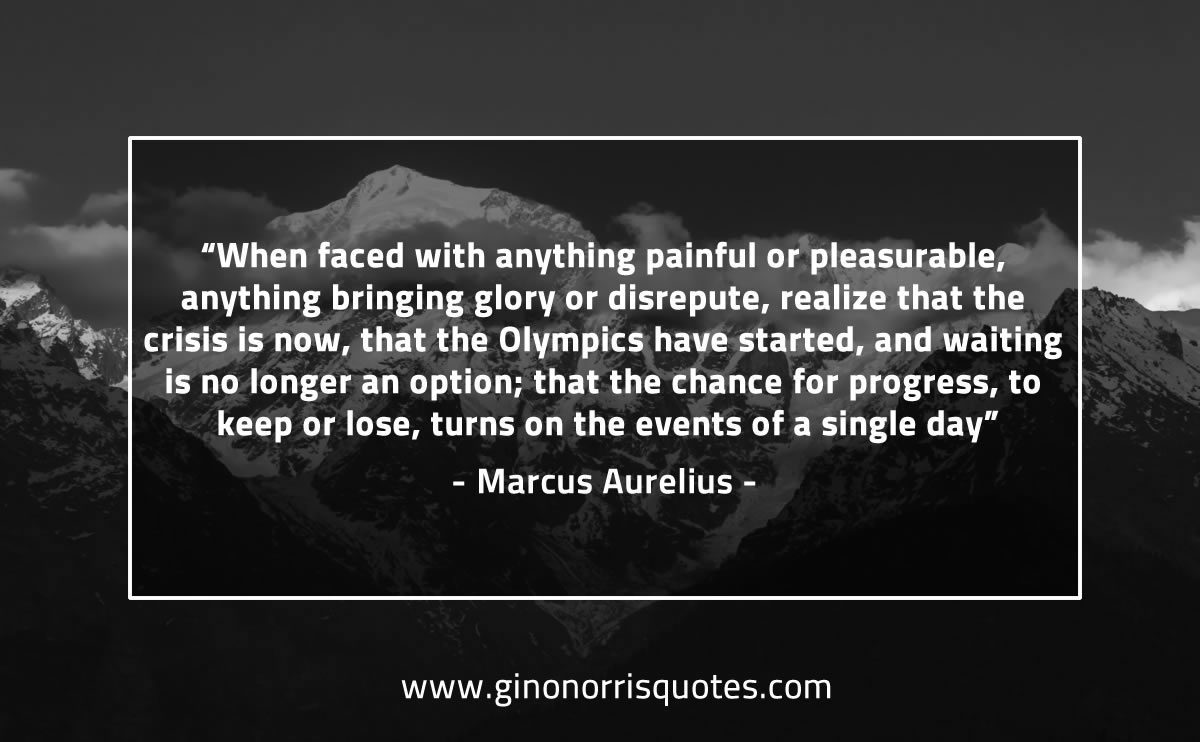 When faced with anything painful MarcusAureliusQuotes