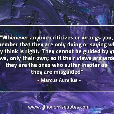 Whenever anyone criticizes or wrongs you MarcusAureliusQuotes