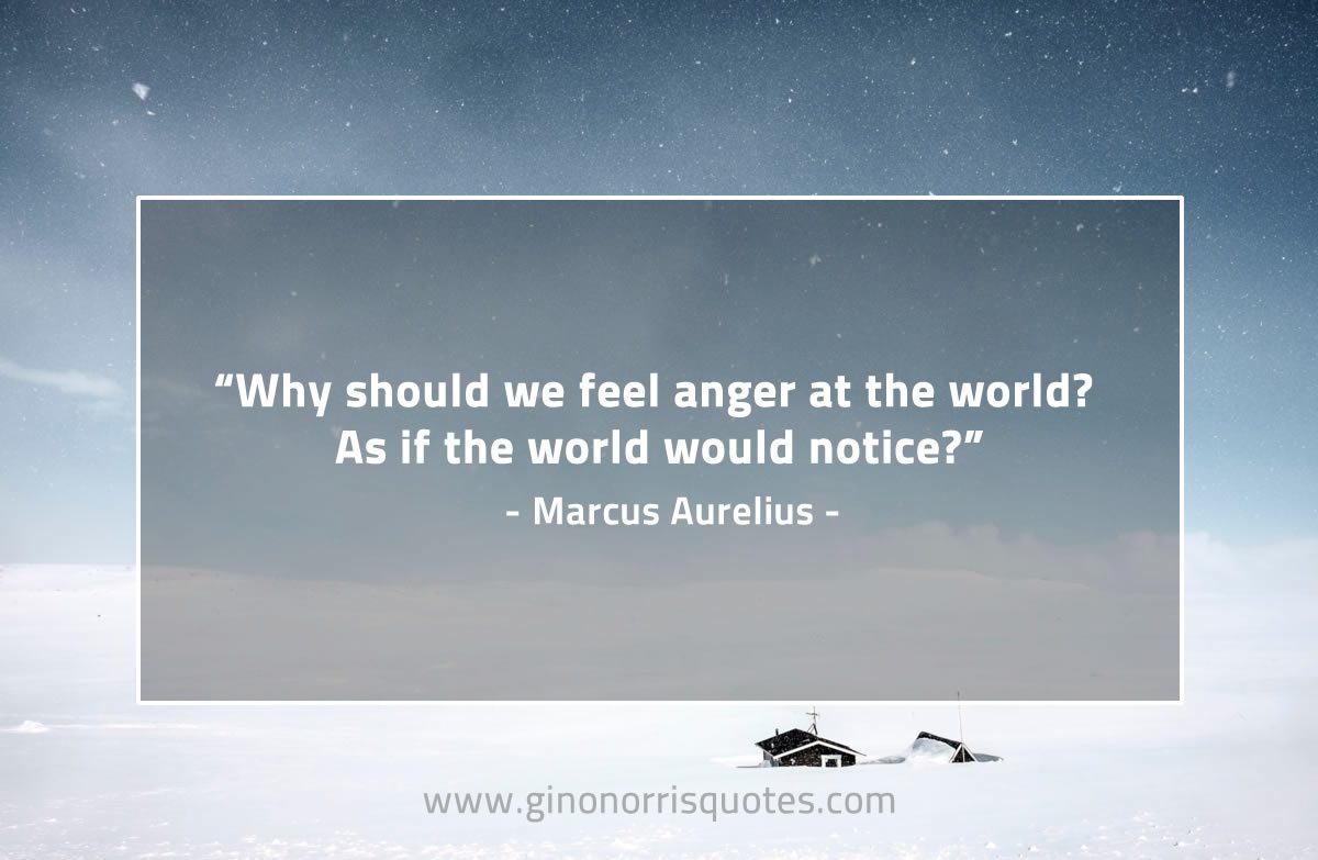 Why should we feel anger at the world MarcusAureliusQuotes
