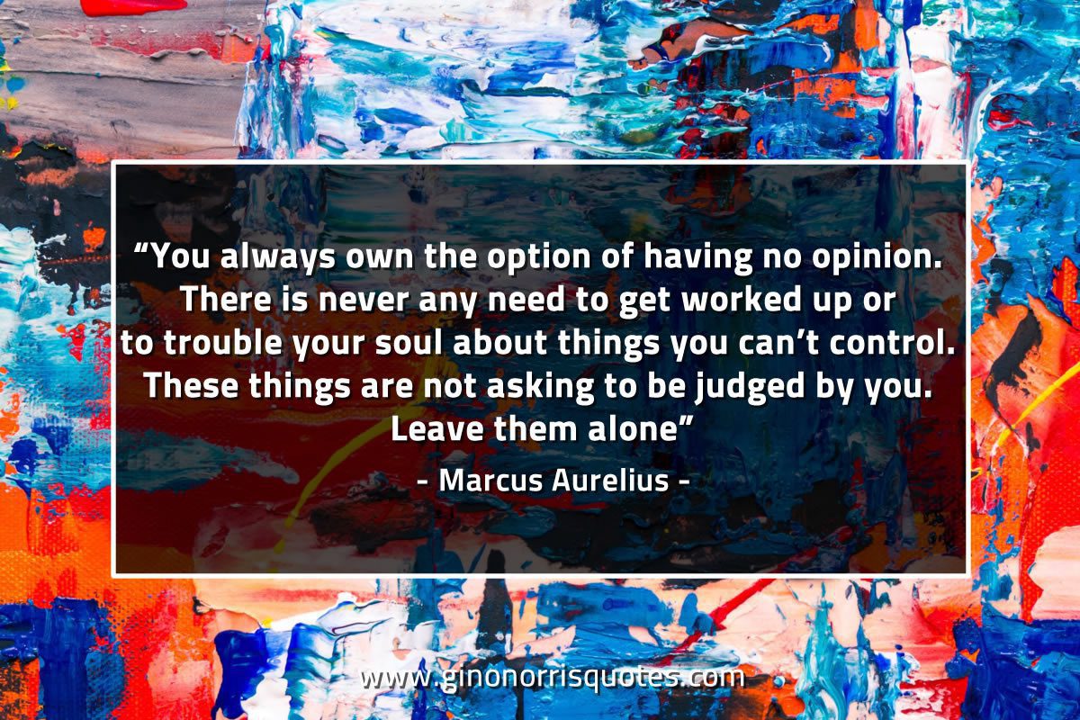 You always own the option of having no opinion MarcusAureliusQuotes