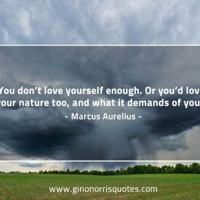 You don’t love yourself enough MarcusAureliusQuotes