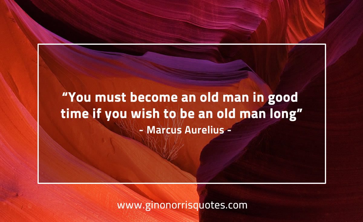 You must become an old man MarcusAureliusQuotes
