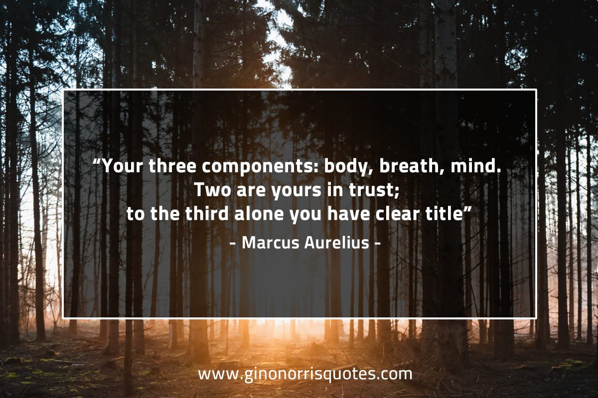 Your three components MarcusAureliusQuotes
