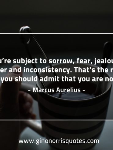 You’re subject to sorrow MarcusAureliusQuotes