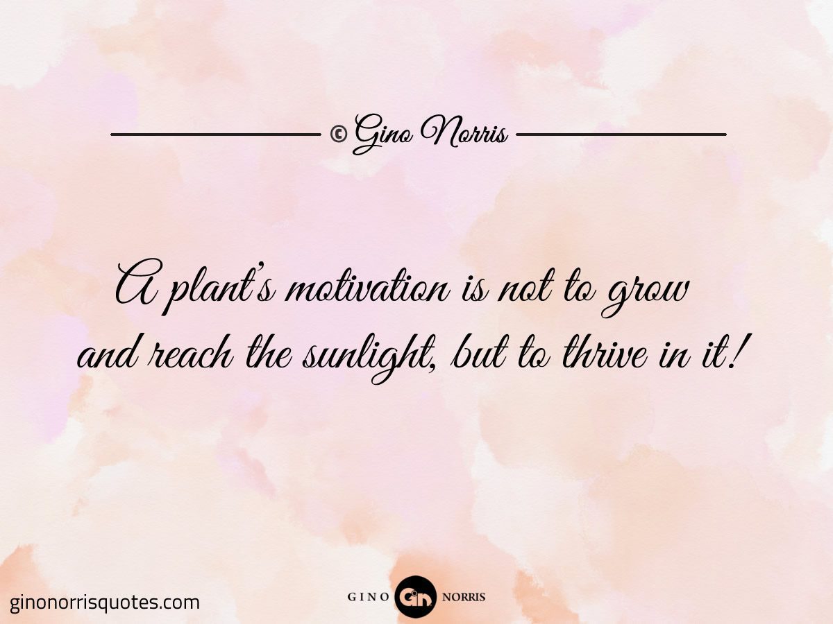 A plants motivation is not to grow and reach the sunlight