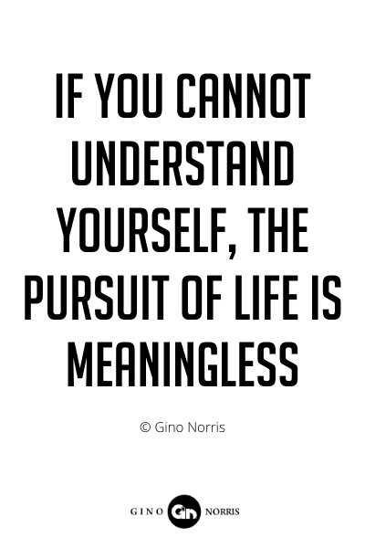 226PQ. If you cannot understand yourself the pursuit of life