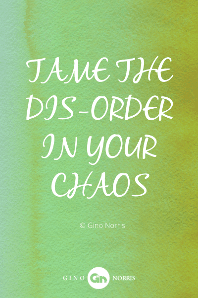 319WQ. Tame the dis order in your chaos
