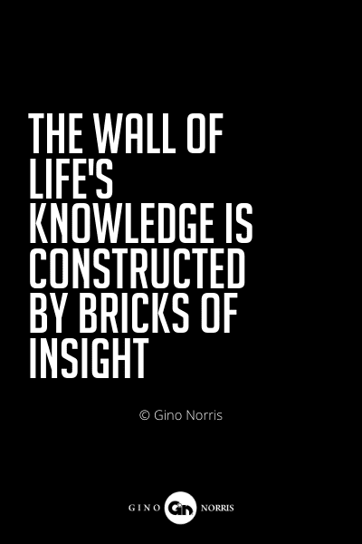 541PQ. The wall of lifes knowledge is constructed by bricks of insight