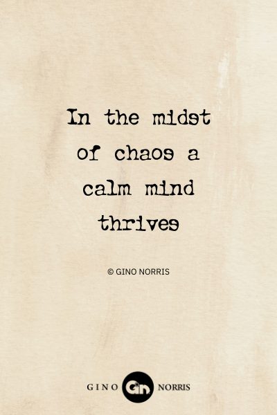 148AbQ. In the midst of chaos a calm mind thrives